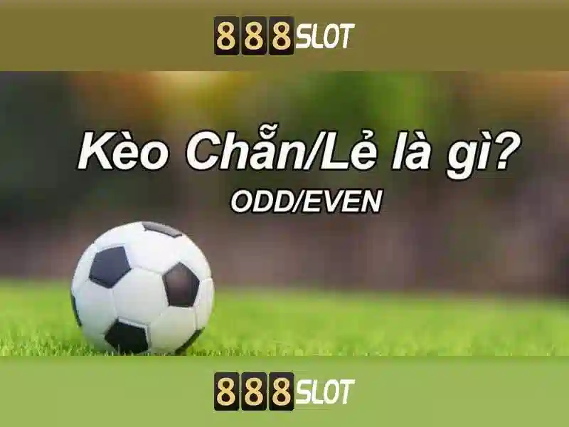 Đặc Điểm Nổi Bật