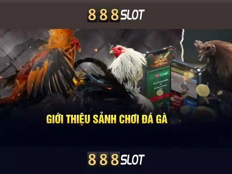 Tính Năng Nổi Bật Của 888SLOT