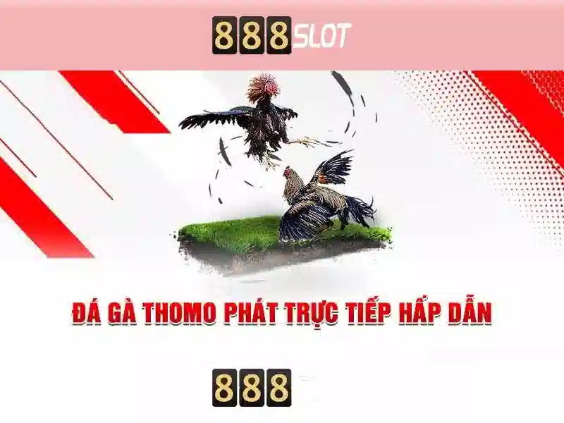 An Toàn Tối Ưu Cho Người Chơi