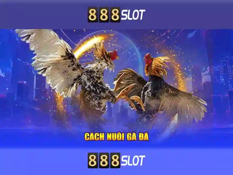 Trải nghiệm Slot Game