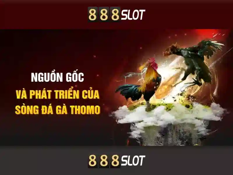Kinh nghiệm slot