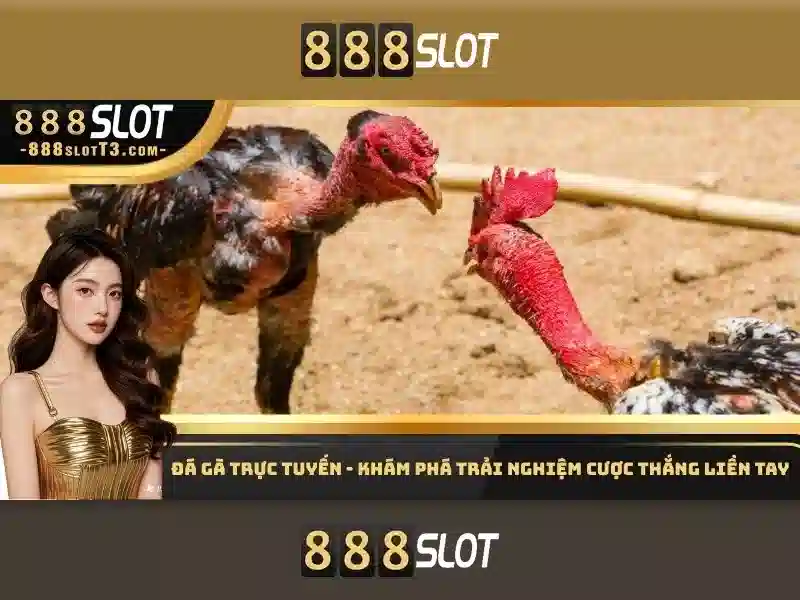 Ưu Đãi Đặc Biệt Cho Thành Viên 888slot