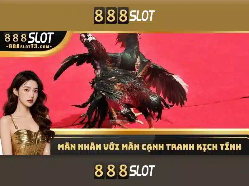 Kinh Nghiệm Chơi Slot