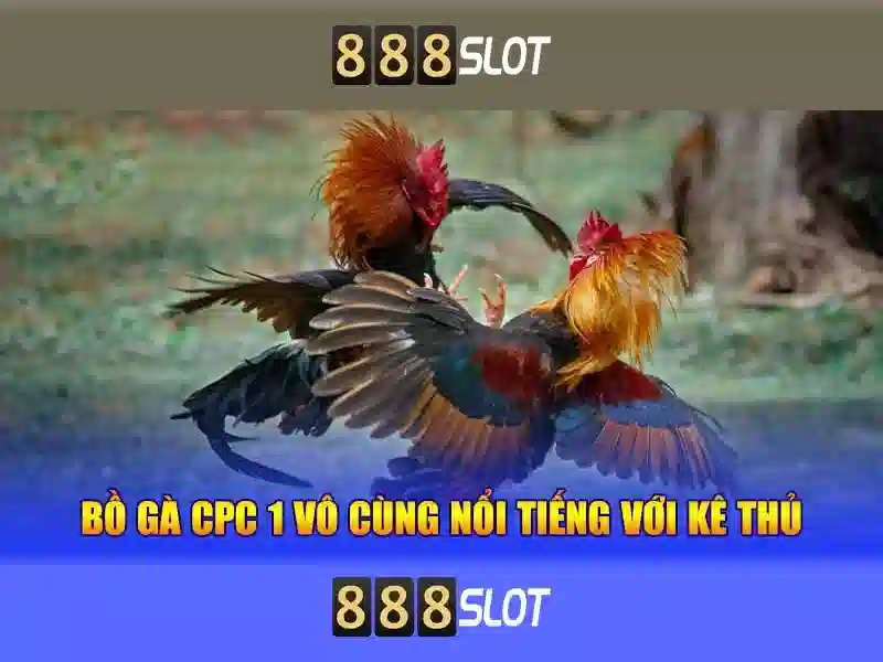 Ưu Đãi Slot