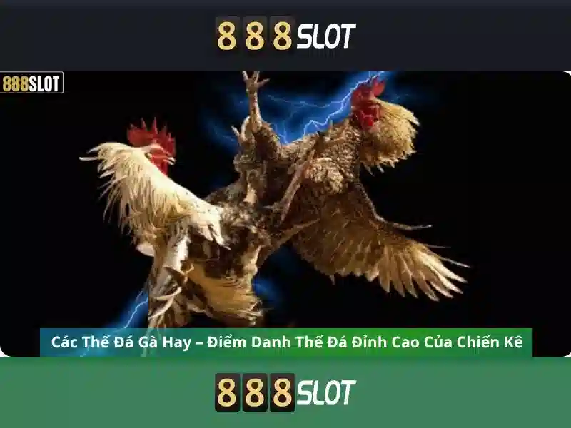 Trải Nghiệm 888SLOT
