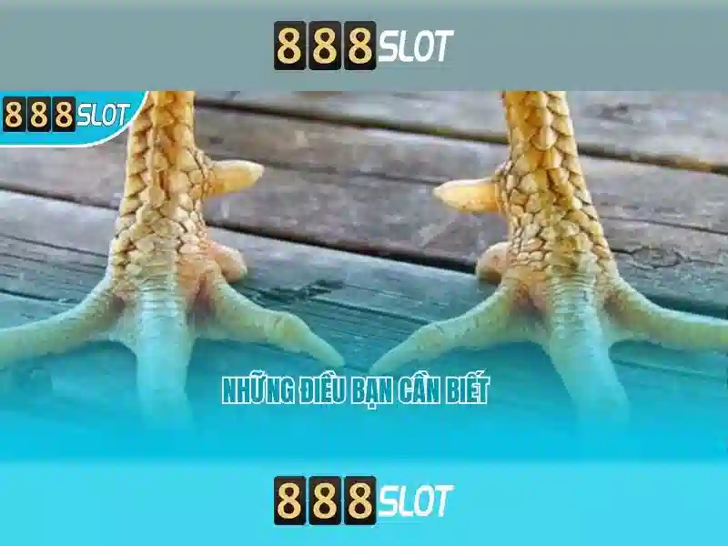 Trò chơi slot đa dạng