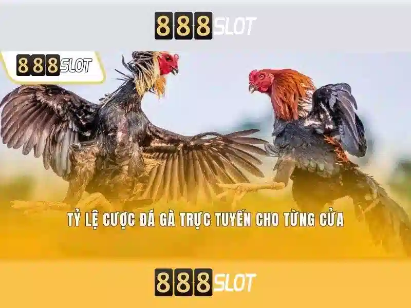 Ưu điểm nổi bật