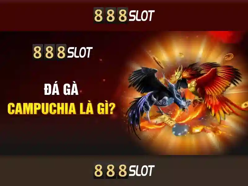 Trải nghiệm cá cược trực tuyến tại 888SLOT