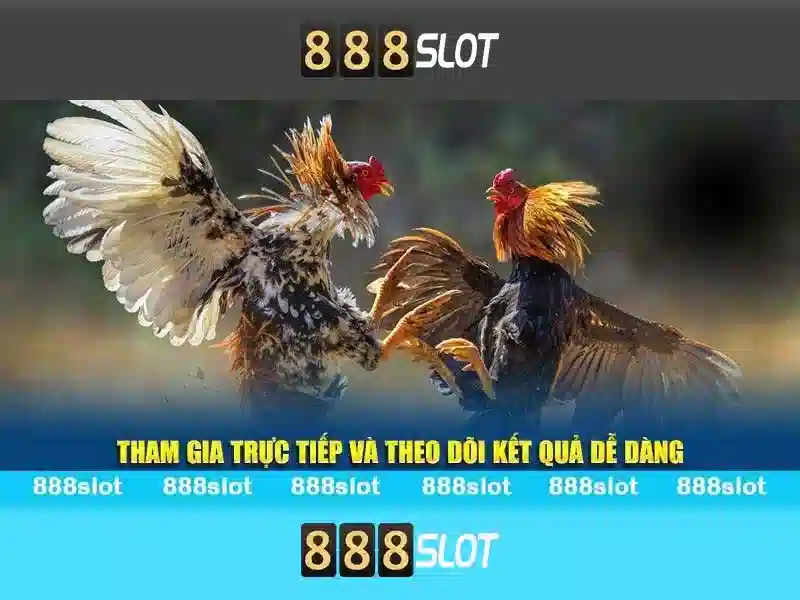 Khuyến Mãi Độc Quyền