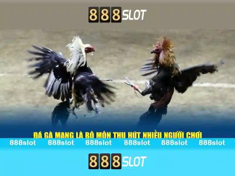 Ưu điểm 888SLOT