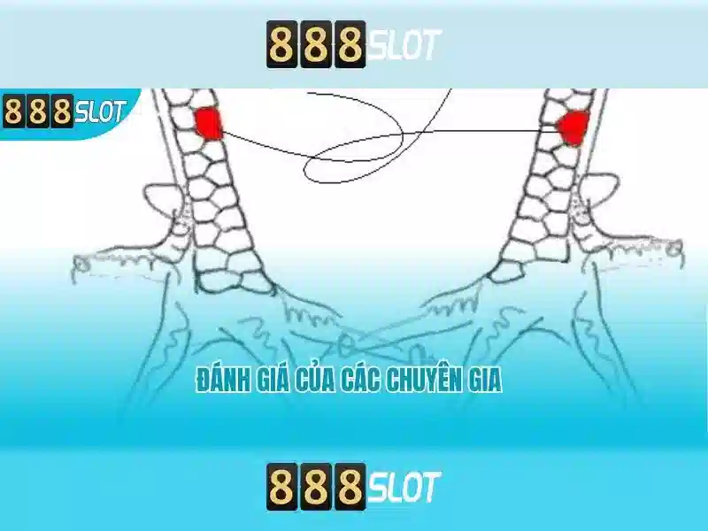 khuyến mãi slot 888SLOT