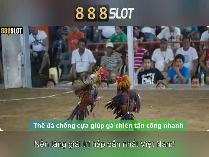 Cách Chơi