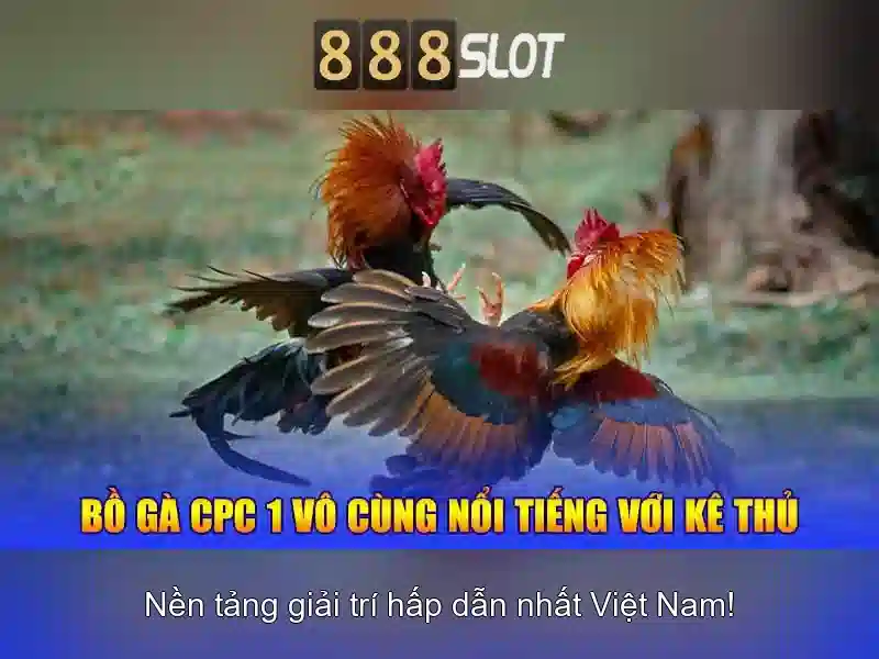 888SLOT – Casino Đa Dạng