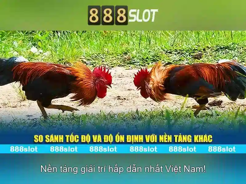 Lưu Ý Khi Đăng Nhập