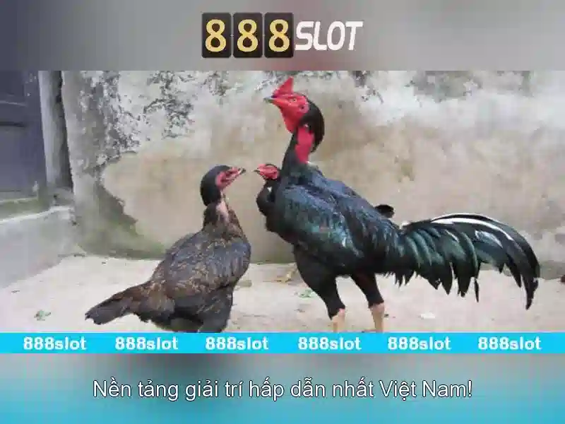 Tại Sao Chọn 888SLOT