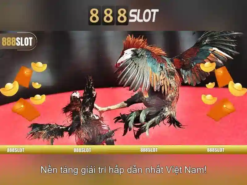 Tại Sao Chọn 888SLOT