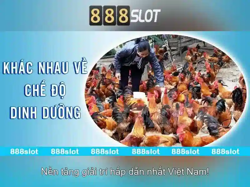 Trải nghiệm slot đỉnh cao